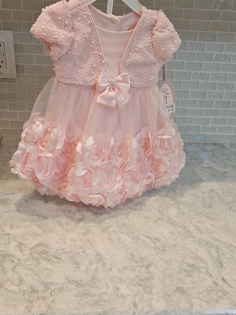 NWT Nannette Pale Pink Tulle Dress with Satin Bow & Rosette Skirt